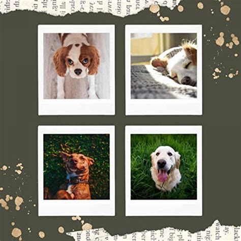 Outstanding Smooth Jazz Chill Out - Background for Dog Calming by Dog ...