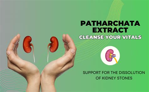 Farm Naturelle Patharchatadi Juice | Kidney Stone Crusher-Breaker Juice ...