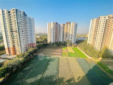 Adel Redwood Residency in Sector 78, Faridabad- Reviews, Photos ...