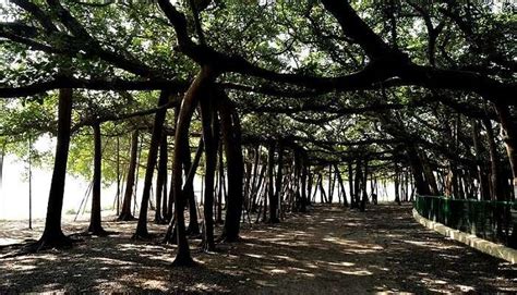 18 Historical Places In Kolkata That One Cannot Miss In 2025!