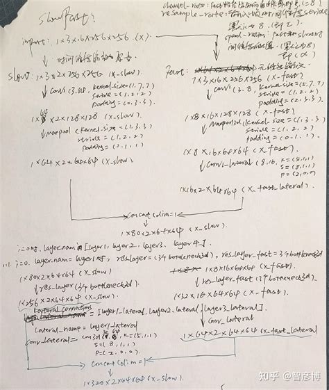 Speedcoding 的图像结果