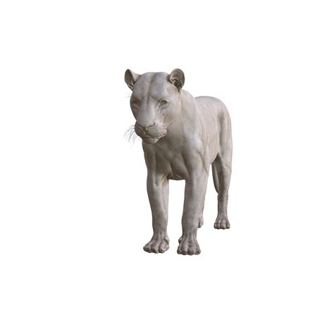 Archivo STL LION BONES ANATOMY FBX 3MF STL OBJ 3D PRINTING CAT MUSCLE VEINS FELINE ANIMAL ...