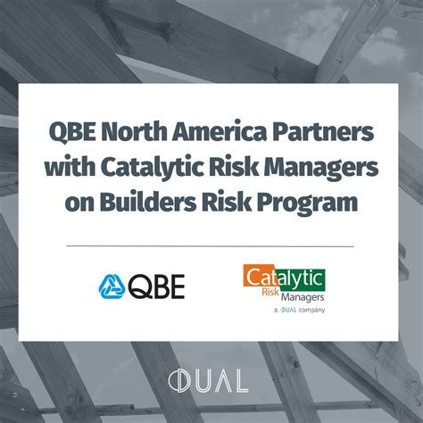 Image result for Dual Insurance Logo