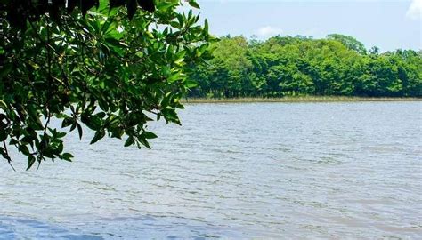 6 Exquisite Places To Visit In Panadura On The Sri Lankan Vacation!