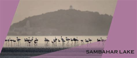 ENDOCON 2025 | JAIPUR