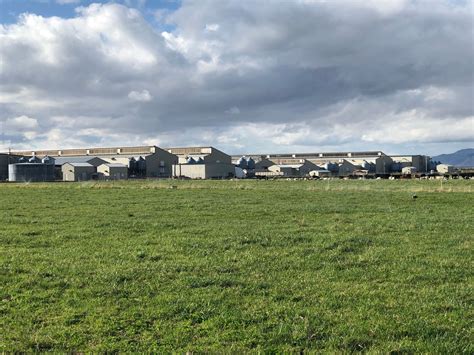 Utah's 108-Year-Old Fassio Egg Farms is Acquired by Cal-Maine Foods ...