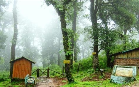 Lava Lolegaon Trek In Darjeeling | WhatsHot Kolkata