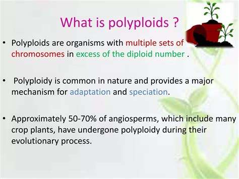 Plant polyploids | PPTX