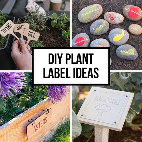20 Creative DIY Plant Labels for Your Garden - The Handyman's Daughter