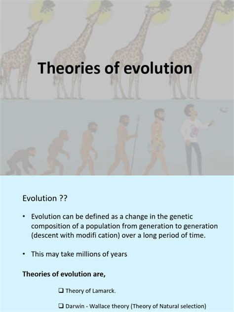 Evolution Theory Explained 的图像结果