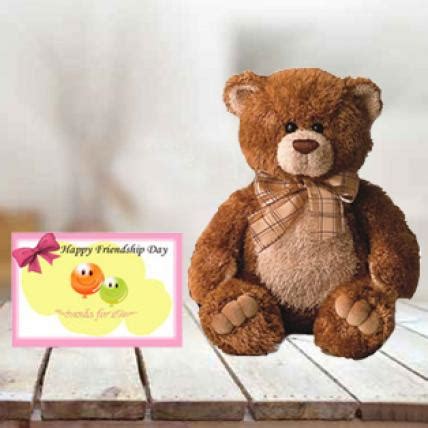 Order Teddy Bear Combination Gifts | Teddy Bear Combo Gifts with Same ...