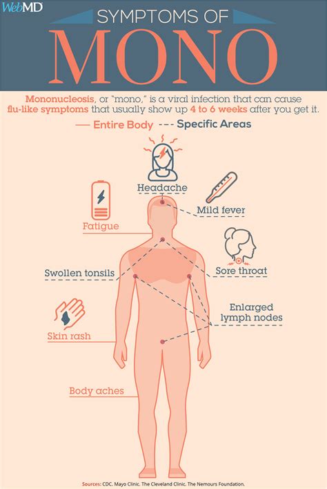 Symptoms Of Mononucleosis Include