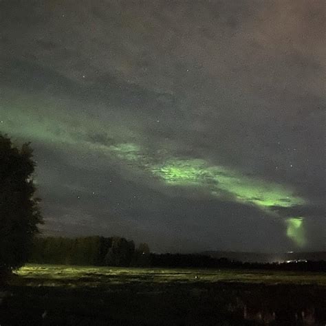 Ella Joy (@ellajoy) • Instagram photos and videos