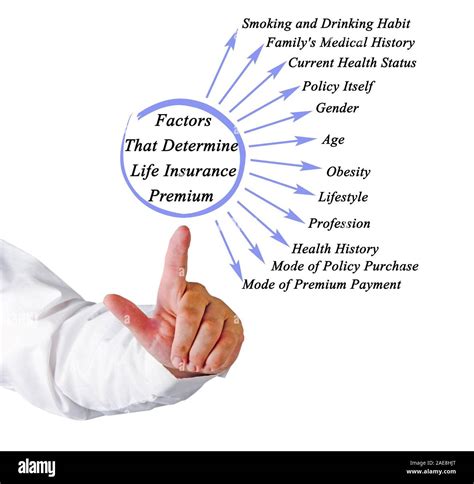 Insurance Premium 的图像结果