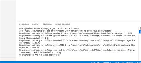 Install Python Libraries in vs Code 的图像结果