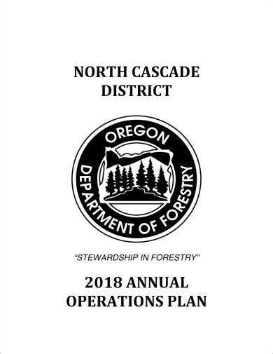 Project Operational Plan 的图像结果