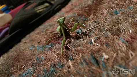 Slideshow: Nexus 6 Sample Photos