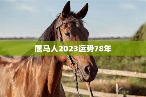 属马人2023运势78年(幸运之年财运亨通)