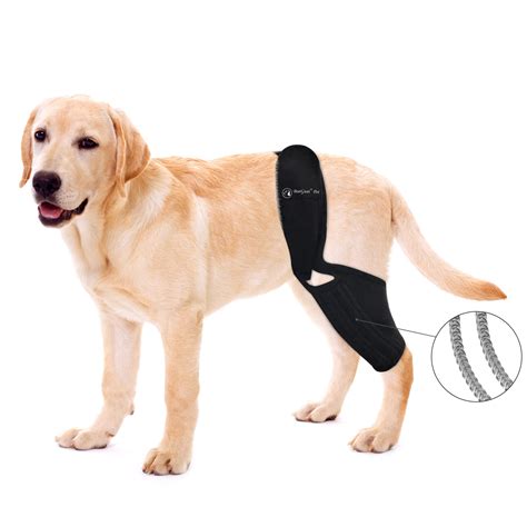 BaoGuai Knee Brace for Dogs ACL with Side Stabilizers,Knee Cap Dislocation, Arthritis - Keeps ...