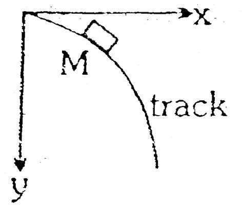 A man `M` slides down a curved frictionless track, starting from rest ...