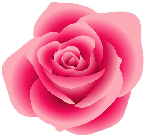 Pink Rose Clip Art