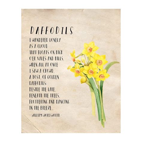 Daffodils By William Wordsworth Drawing