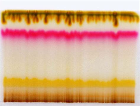 Biotech Just Received Pattern 的图像结果