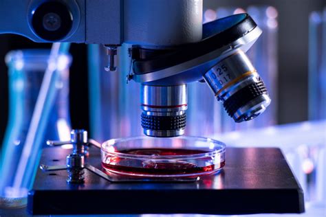 Image result for Optical Lens Microscope