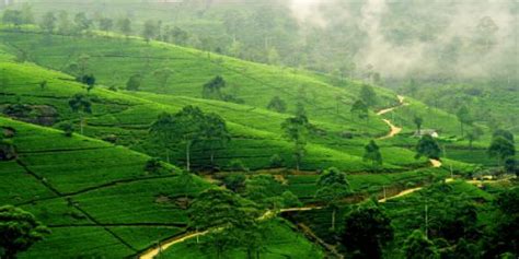 Beautiful Spots in Sri-Lanka You Should Explore On Your 2021 Holiday