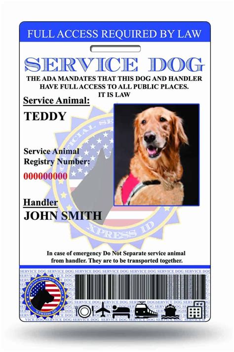 Pet Id Card Template