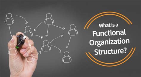 Functional Structure Company 的图像结果