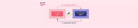 Image result for Encode Python