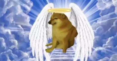Viral Memes Dog 'Cheems' dies due to health complications