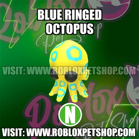 Image result for Blue-Ringed Octopus AdoptMe Tricks