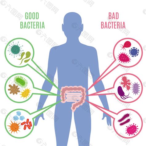 细菌，真菌，病毒——感染，免疫反应以及治疗用药差异 – 谷禾健康