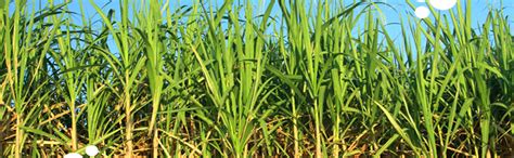 WOWSlider generated by WOWSlider.com