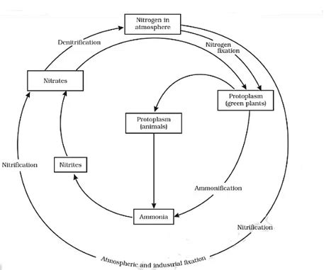 Natural Resources Summary Class 9 Science