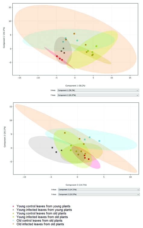 Image result for Visualization Pca