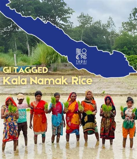 Explore Tarai Organics Farms: Your Trusted Organic Food Store Online ...