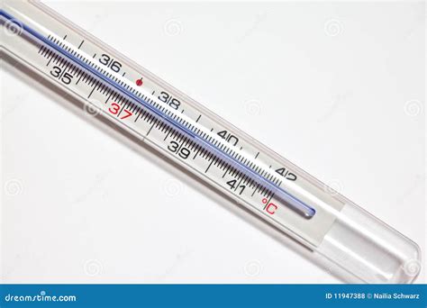 Fever thermometer stock photo. Image of macro, medicine - 11947388