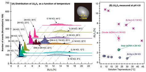 Aggregation and Oligomerization Characterization of ß-Lactoglobulin ...