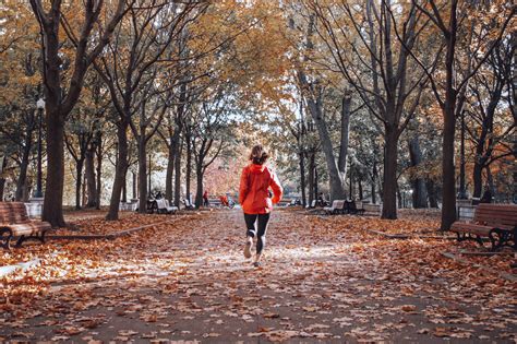 Fall Running 的图像结果