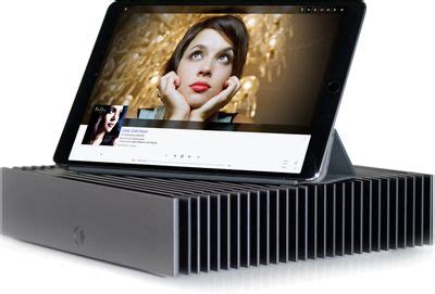 Image result for Roon Essentials