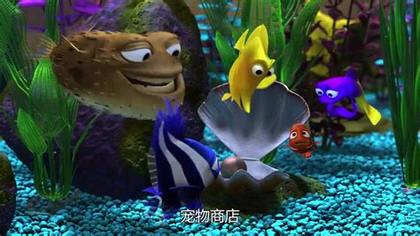 IMAX纪录片《海底世界 Under The Sea 2009》英语中字 1080P/MKV/ISO/10.75 全球变暖对海洋生物圈的影响-纪录天堂