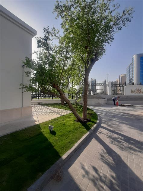 Integrated Garden - Gardening and Landscaping Company Qatar | Gallery