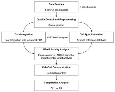 NF-ΚB Activation as a Key Driver in Chronic Lymphocytic Leukemia ...