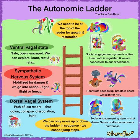 Image result for Autonomic Ladder