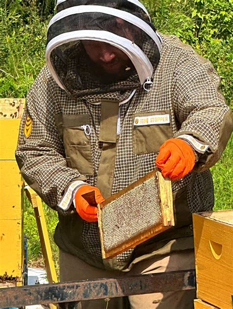 Honeybees and Native Pollinators: The Beekeepers Perspective, Pioneer ...