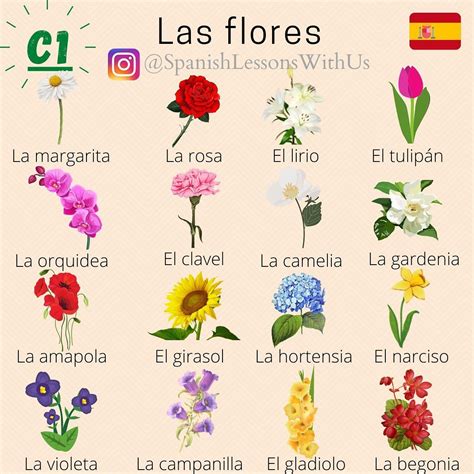 Spanish lessons with us on Instagram: "👩‍🏫Nivel C1👩‍🏫 🔹Las flores🔹 🌀 ...