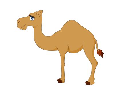 camel clipart face 20 free Cliparts | Download images on Clipground 2025